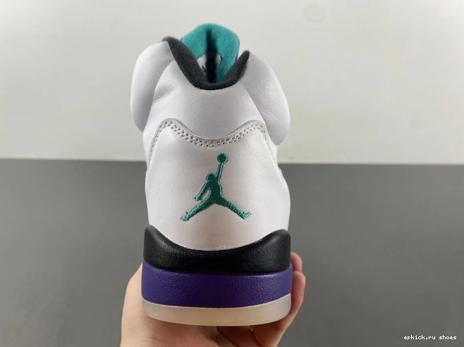 Cheap Air Grape 5 Jordan 136027-108 (2013) Retro 0817